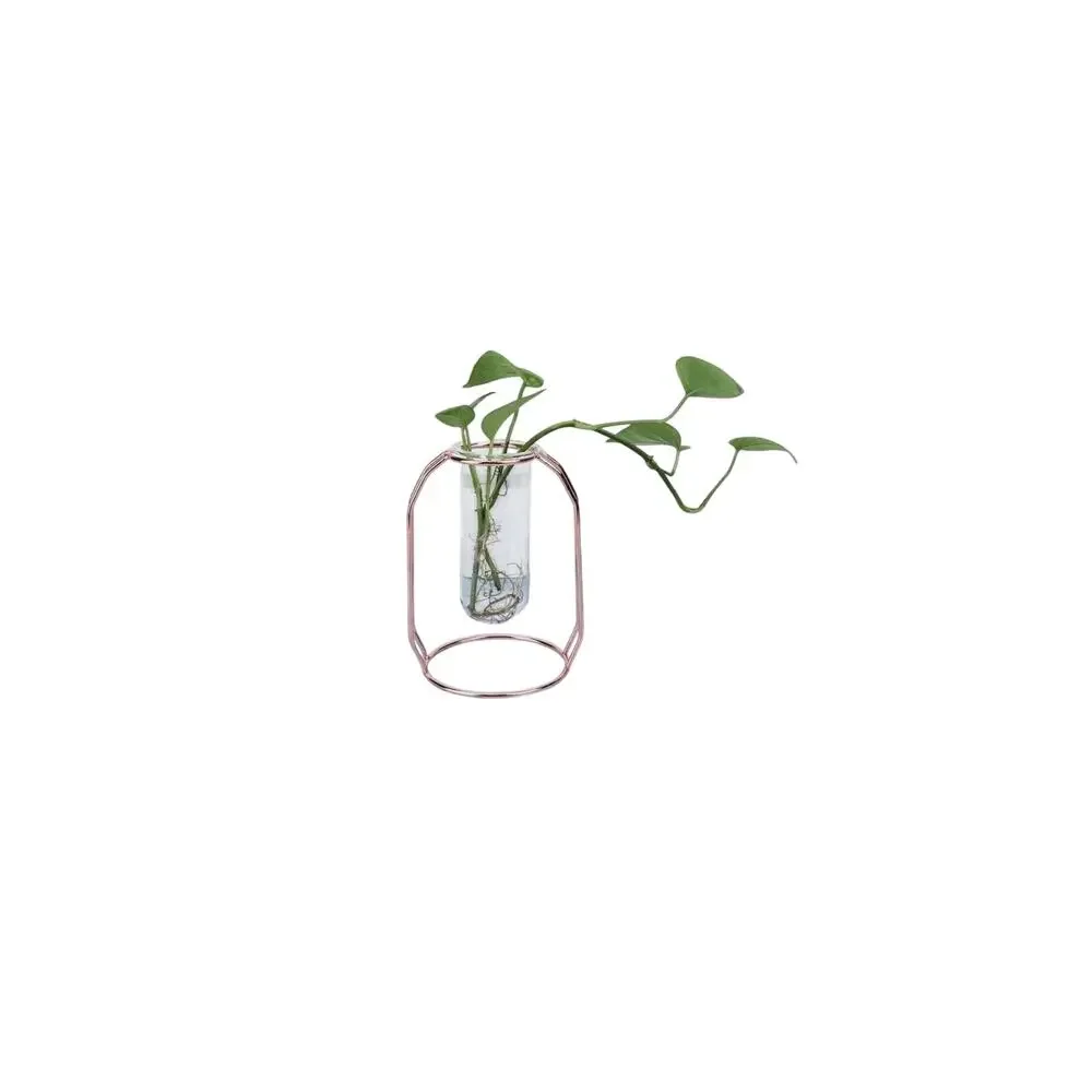 Rose Find Glass Bud Case Bud Vase Glass Vase Center Piece